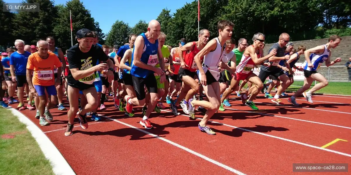 📱随时切换主队动向，信息同步不掉线！⚡